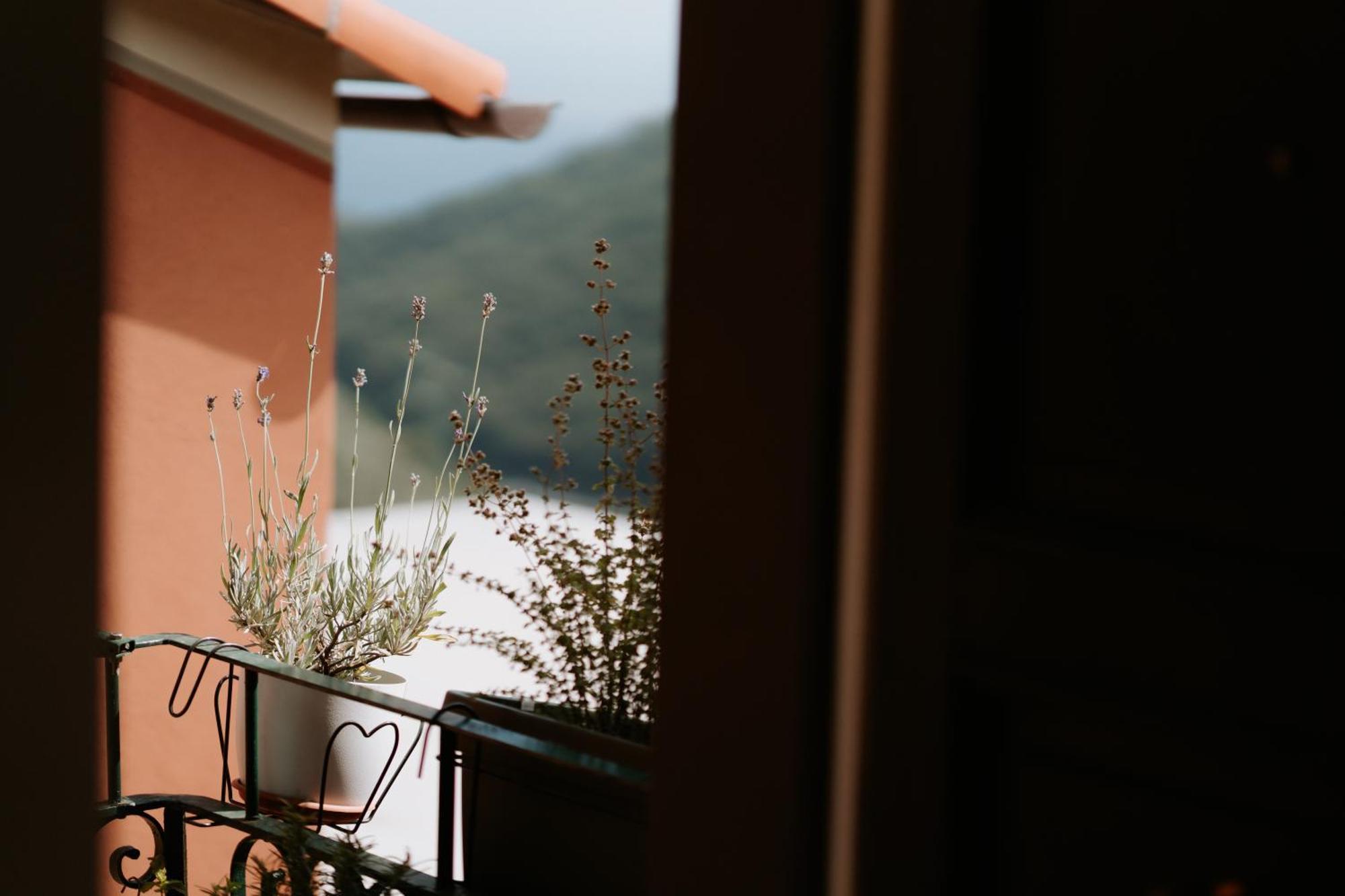 Il Castagno Holiday Home Teriasca Exteriér fotografie